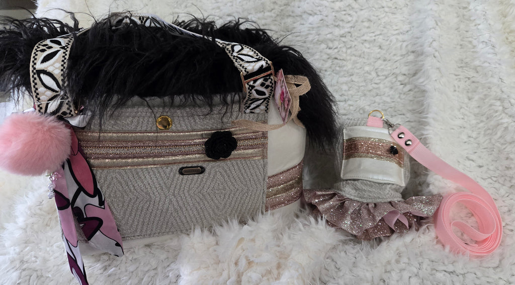 Very Cute Dog Carrier, Matching Dress & Leash