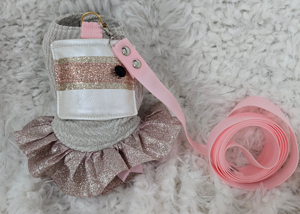 Very Cute Dog Carrier, Matching Dress & Leash