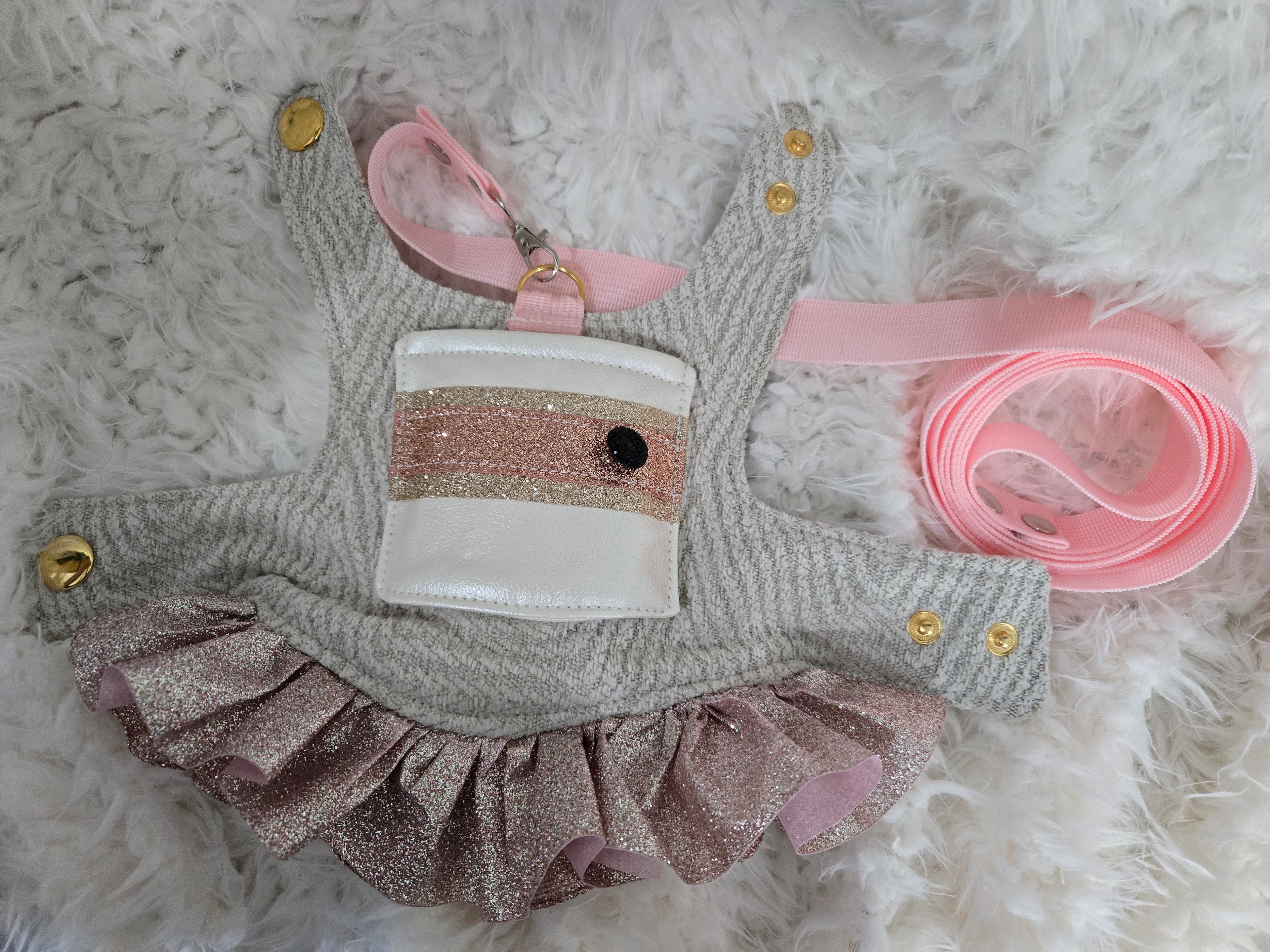 Very Cute Dog Carrier, Matching Dress & Leash