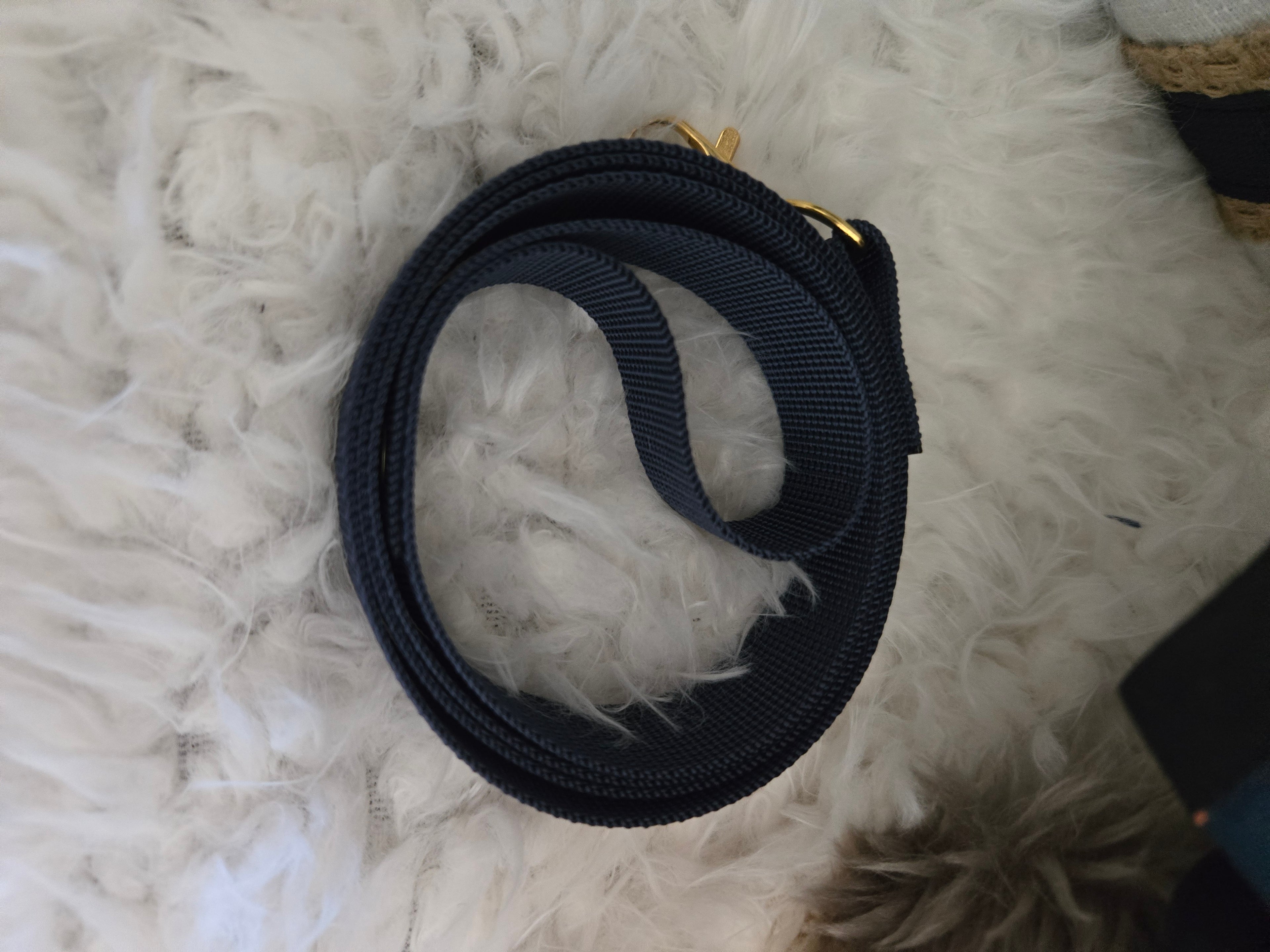 Navy Blue, Yellow & White dog Carrier 4-6lbs.