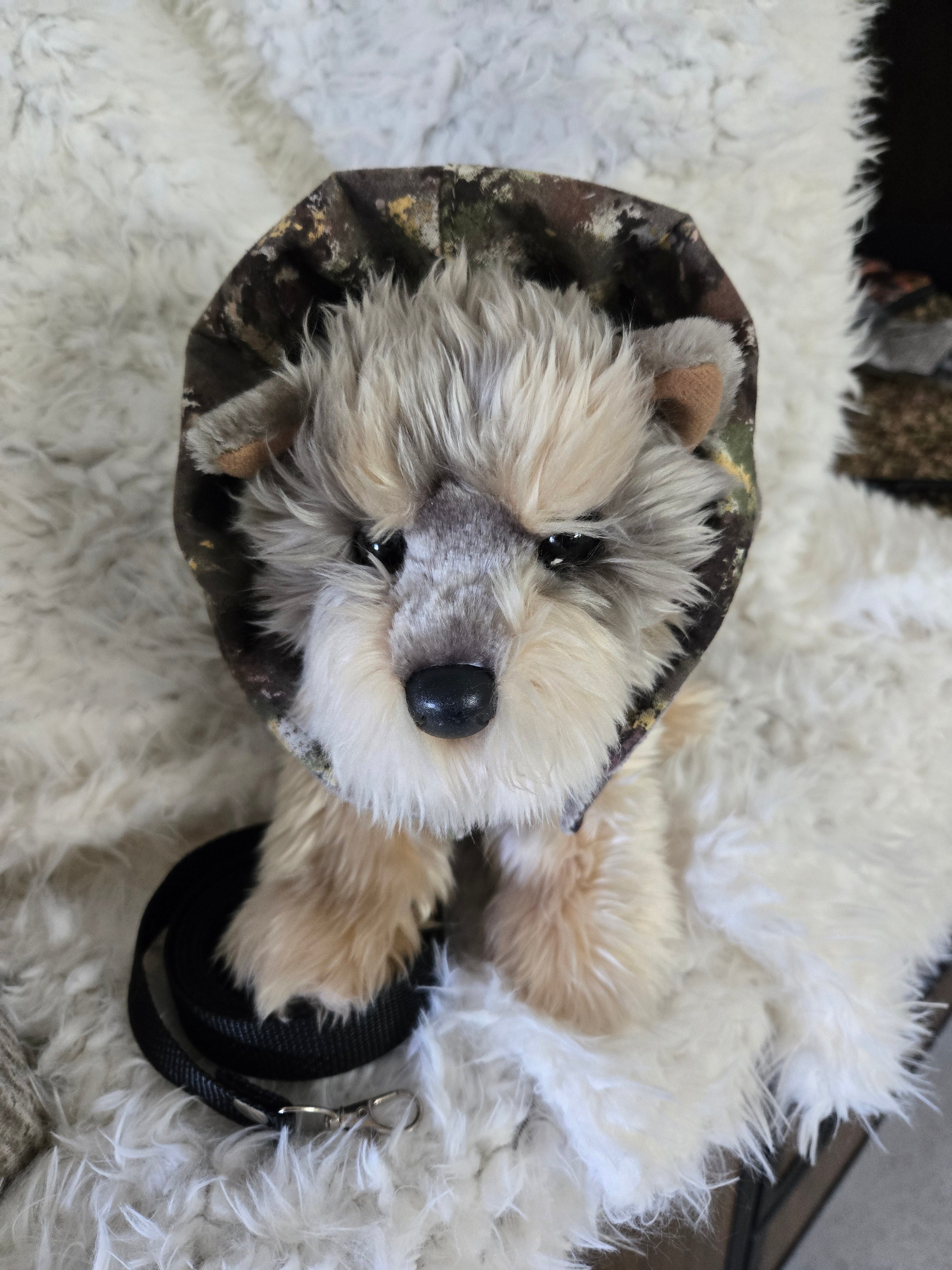 Camouflage and Gray pet carrier. Outfit and leash. For that little furry boy, he will love it. 4-6lbs. Size medium.