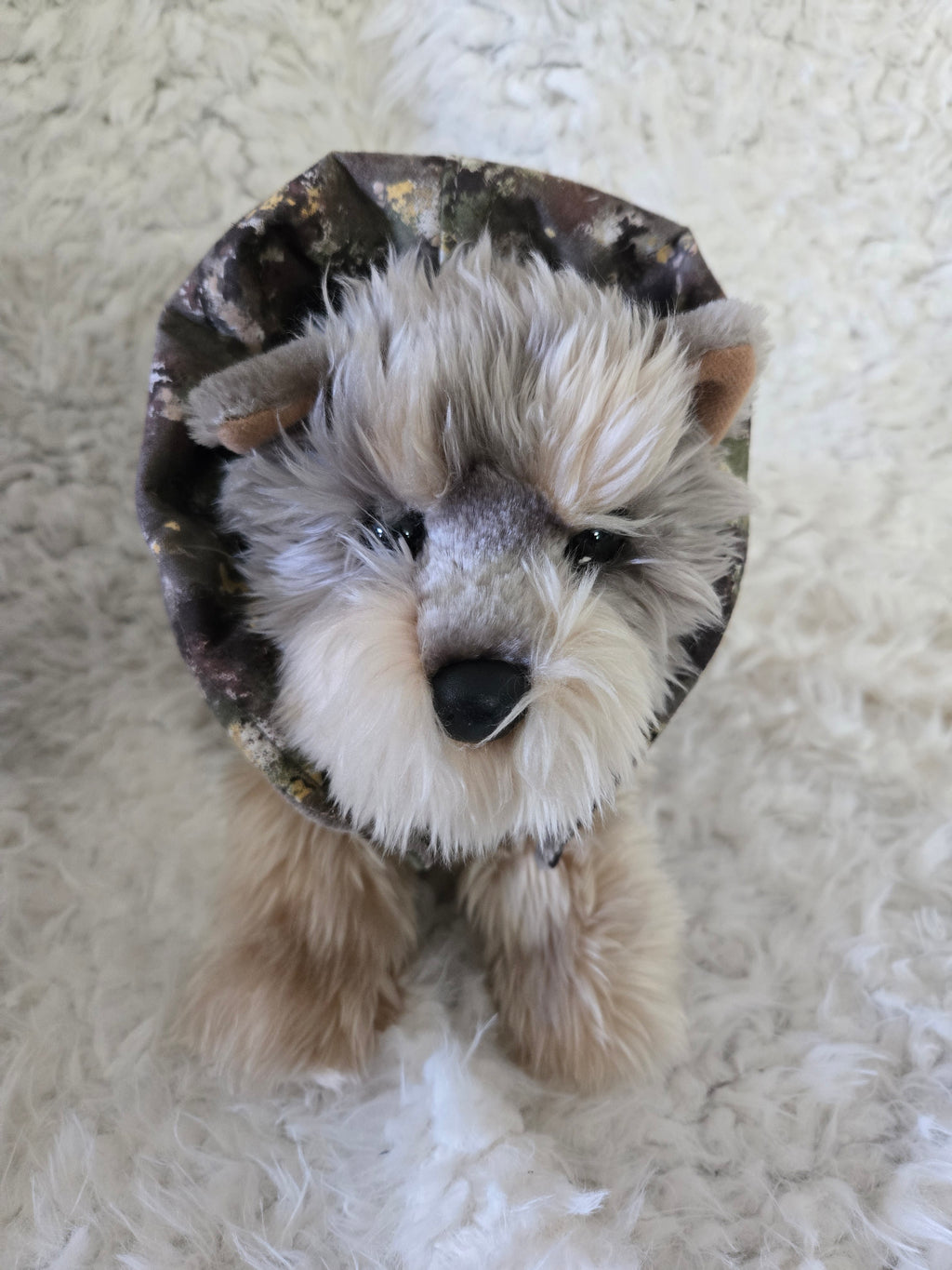 Camouflage and Gray pet carrier. Outfit and leash. For that little furry boy, he will love it. 4-6lbs. Size medium.