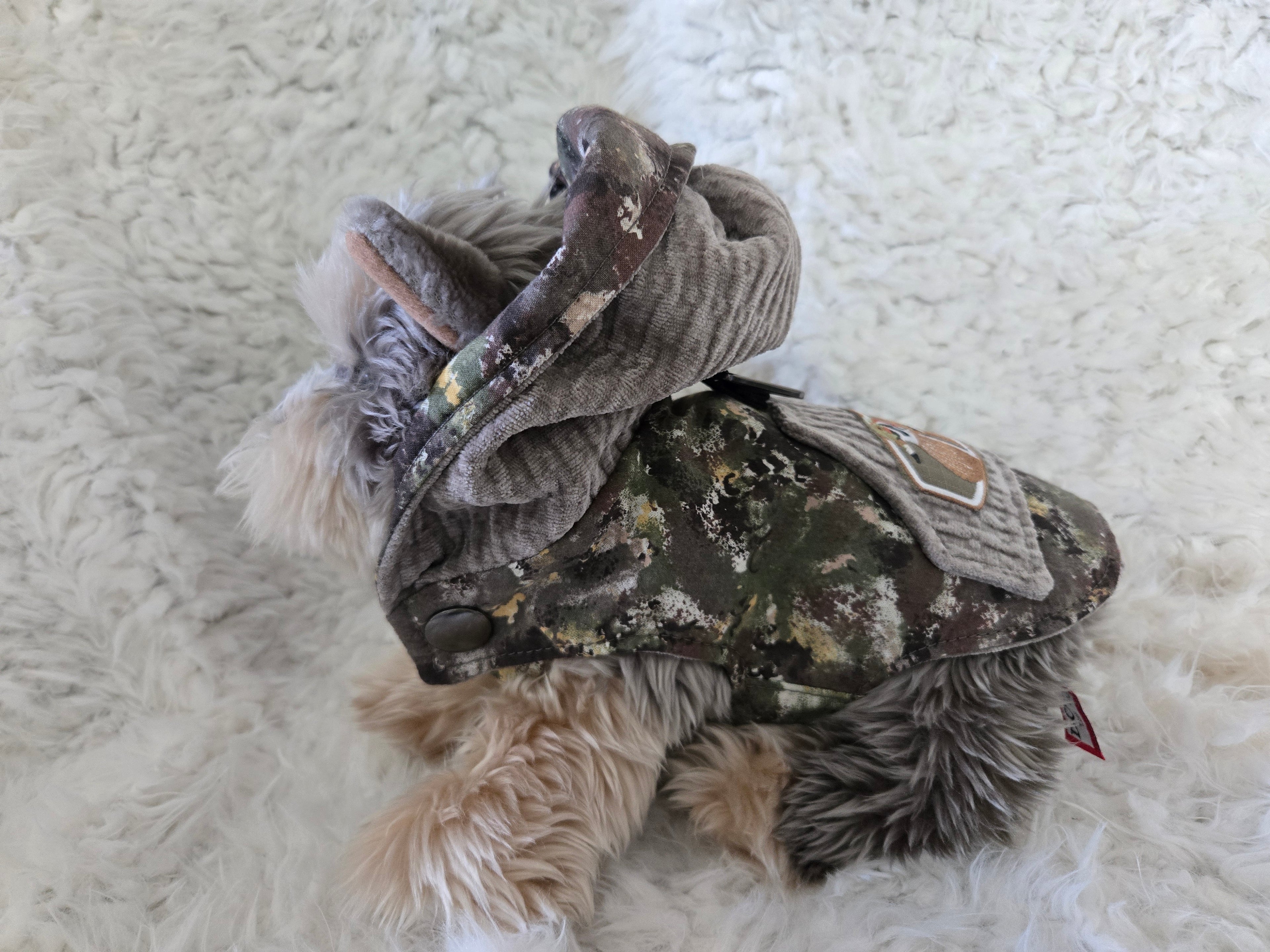 Camouflage and Gray pet carrier. Outfit and leash. For that little furry boy, he will love it. 4-6lbs. Size medium.