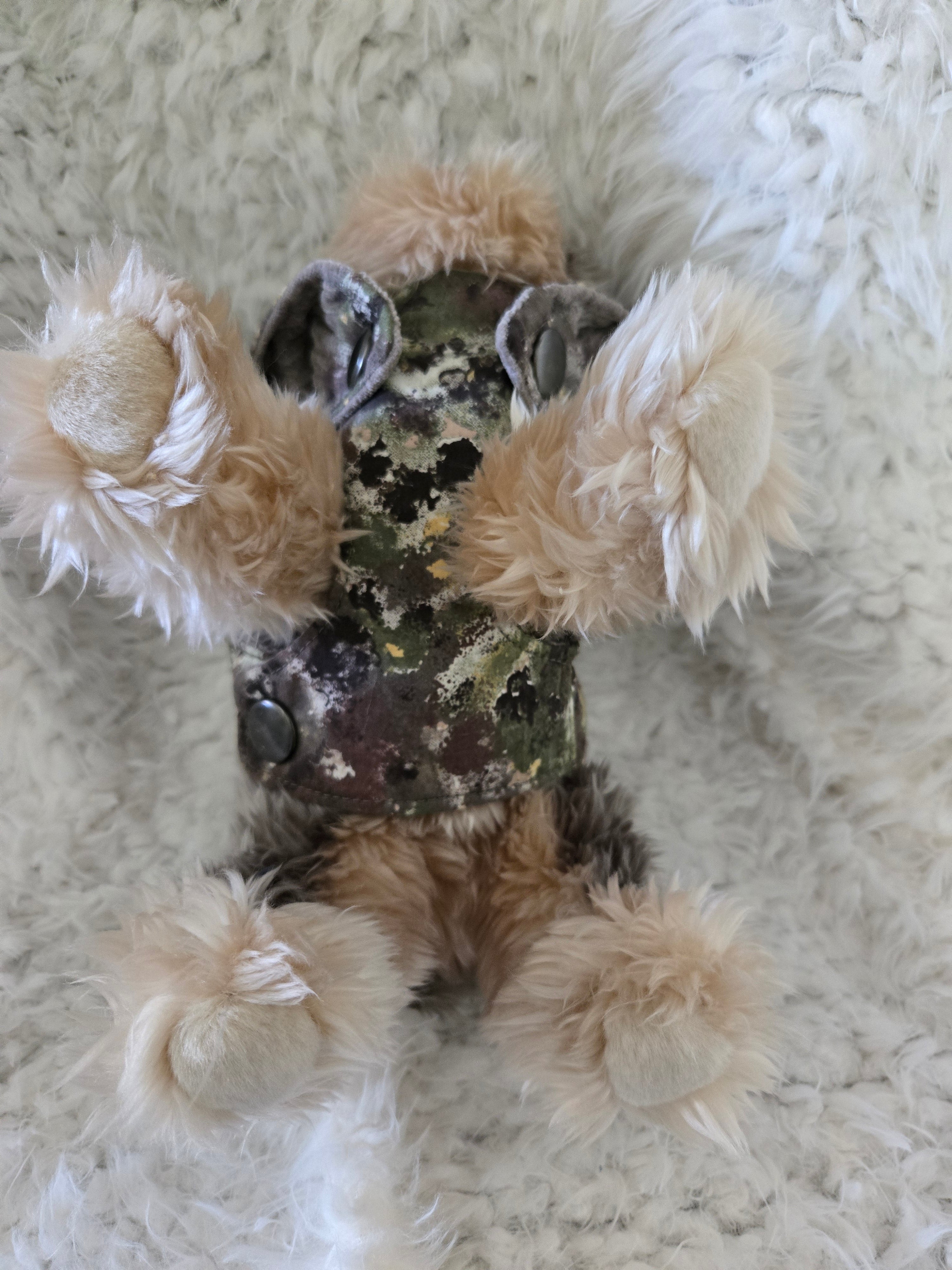 Camouflage and Gray pet carrier. Outfit and leash. For that little furry boy, he will love it. 4-6lbs. Size medium.