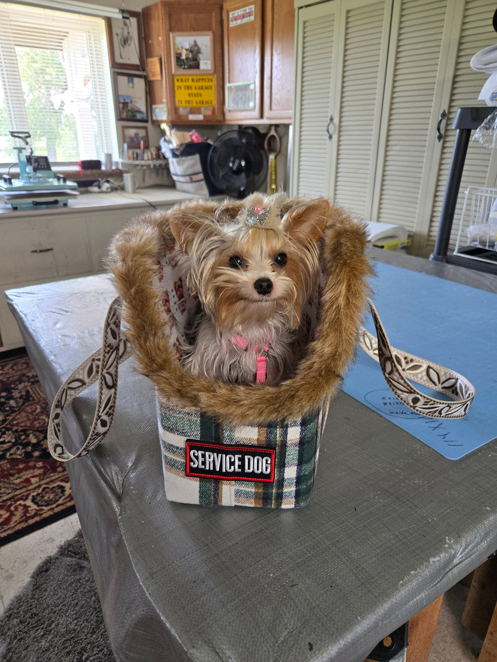 Service dog Flannel and cotton service dog carrier with outfit. And lash, handmade