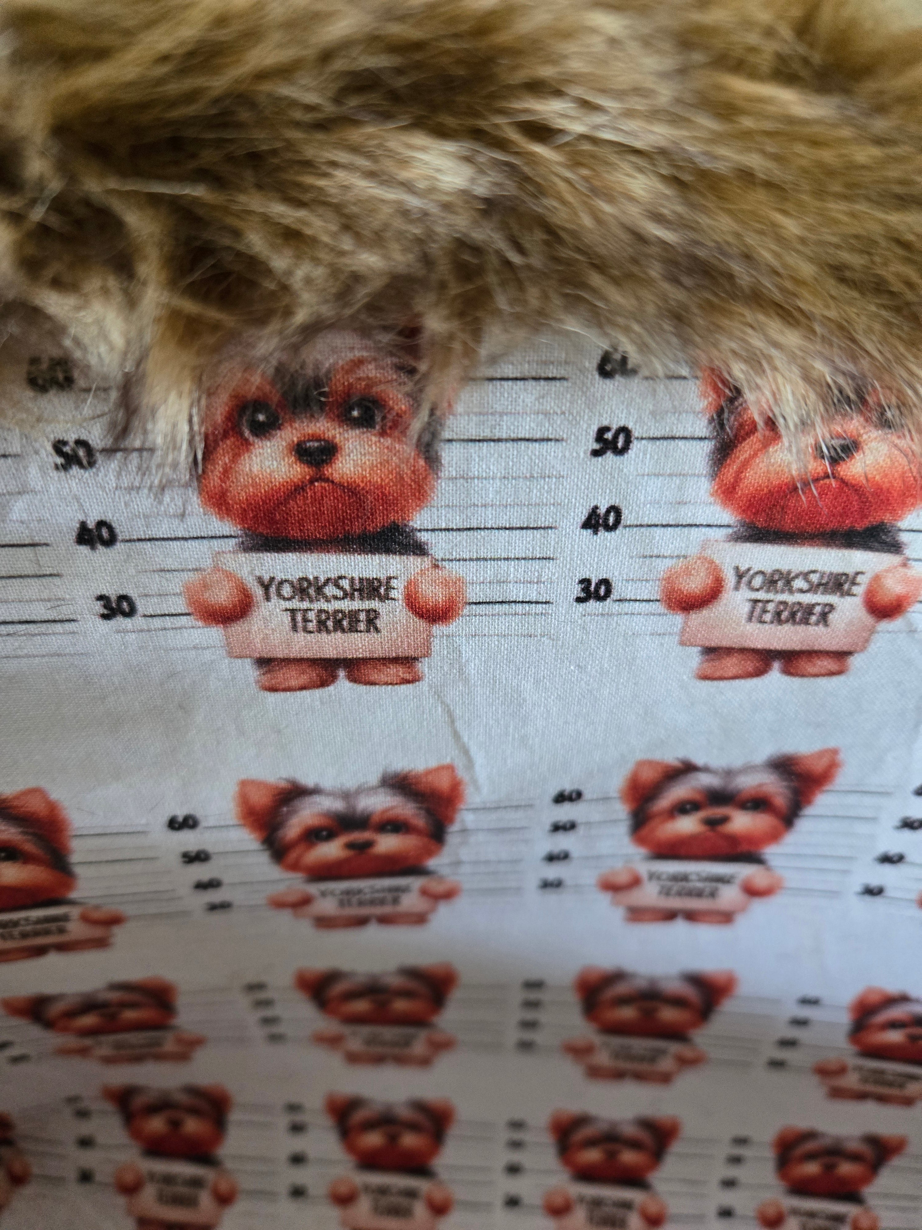 Service dog Flannel and cotton service dog carrier with outfit. And lash, handmade